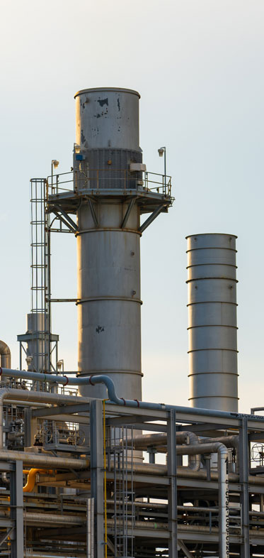 Kuş Ağı Uygulama & Kuş Filesi Uygulama