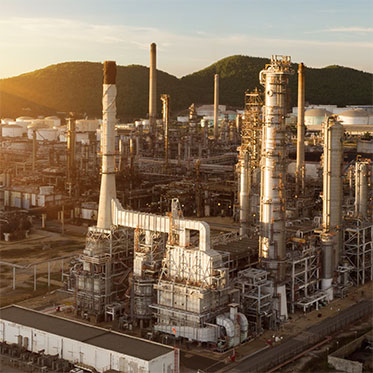 Kuş Ağı Uygulama & Kuş Filesi Uygulama