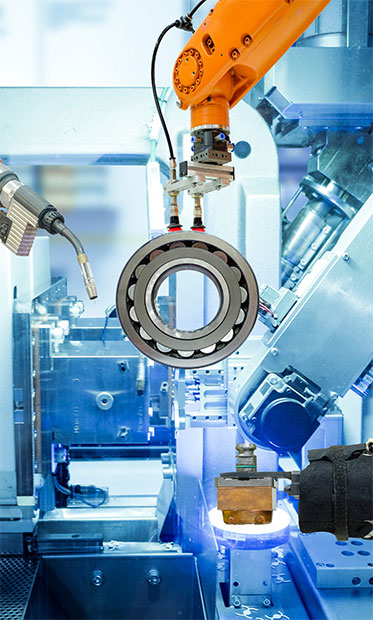 Kuş Ağı Uygulama & Kuş Filesi Uygulama