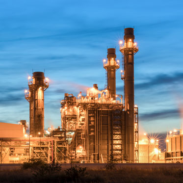 Kuş Ağı Uygulama & Kuş Filesi Uygulama