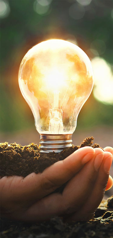 Kuş Ağı Uygulama & Kuş Filesi Uygulama