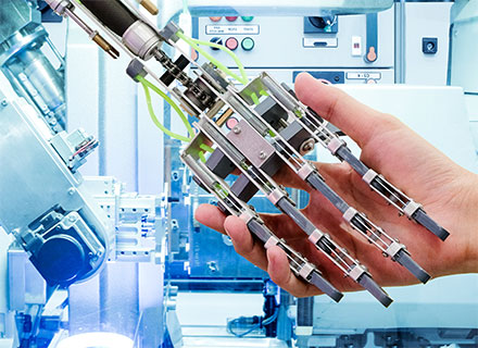 Kuş Ağı Uygulama & Kuş Filesi Uygulama