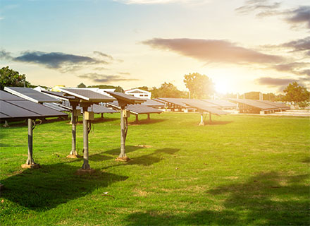 Kuş Ağı Uygulama & Kuş Filesi Uygulama