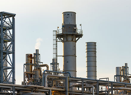 Kuş Ağı Uygulama & Kuş Filesi Uygulama